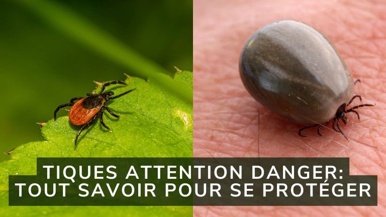 Tiques Attention Danger : Lisez ce guide conseils